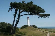 Insel Hiddensee